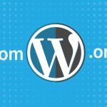 WordPress: .com versus .org